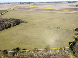  Terreno (Parcela) en venta en Roque Perez, Buenos Aires, Roque Perez