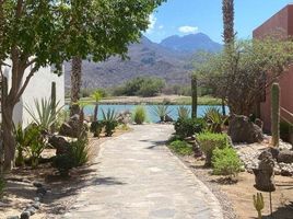  Land for sale in Comondu, Baja California Sur, Comondu