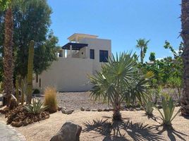  Land for sale in Comondu, Baja California Sur, Comondu