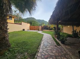 1 Habitación Apartamento en alquiler en Jose Azueta, Guerrero, Jose Azueta, Guerrero