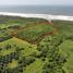  Land for sale in Tomas De Berlanga Santo Tomas, Galapagos, Tomas De Berlanga Santo Tomas, Isabela
