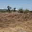  Terreno (Parcela) en venta en Jose Azueta, Guerrero, Jose Azueta