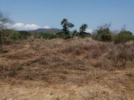  Terreno (Parcela) en venta en Jose Azueta, Guerrero, Jose Azueta