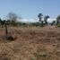  Terreno (Parcela) en venta en Jose Azueta, Guerrero, Jose Azueta