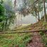  Land for sale in Calcahualco, Veracruz, Calcahualco