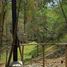  Land for sale in Calcahualco, Veracruz, Calcahualco