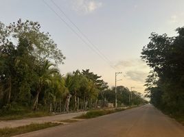 Terrain à vendre à Chicxulub Pueblo, Yucatan, Chicxulub Pueblo