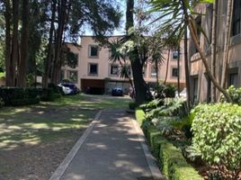 145 m² Office for rent in Ciudad de México, Miguel Hidalgo, Ciudad de México
