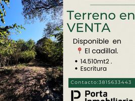  Terreno (Parcela) en venta en Tafi Viejo, Tucuman, Tafi Viejo