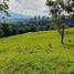  Land for sale in Pereira, Risaralda, Pereira