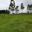  Land for sale in Pereira, Risaralda, Pereira