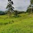  Land for sale in Pereira, Risaralda, Pereira