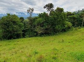  Land for sale in Pereira, Risaralda, Pereira