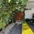 4 Schlafzimmer Haus zu verkaufen in Queretaro, Queretaro, Queretaro, Queretaro