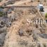  Land for sale in La Paz, Baja California Sur, La Paz, Baja California Sur
