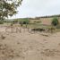  Land for sale in Imperial, Lima, Imperial