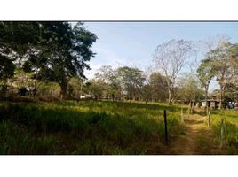  Land for sale in Playa Leona, La Chorrera, Playa Leona