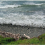  토지을(를) La Union, 게레로에서 판매합니다., La Union