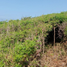  토지을(를) La Union, 게레로에서 판매합니다., La Union