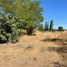  Land for sale in Linares, Linares, Linares