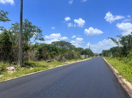  Grundstück zu verkaufen in Conkal, Yucatan, Conkal