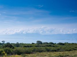 Land for sale in Jocotepec, Jalisco, Jocotepec