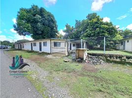 10 Schlafzimmer Appartement zu verkaufen in David, Chiriqui, David, David