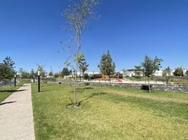  Grundstück zu verkaufen in El Marques, Queretaro, El Marques