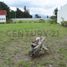  Land for sale in Puembo, Quito, Puembo