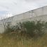  Terreno (Parcela) en venta en Union De Tula, Jalisco, Union De Tula