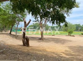  토지을(를) Dist Ocotlan, 오악 사카에서 판매합니다., Dist Ocotlan