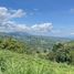  Land for sale in Pereira, Risaralda, Pereira