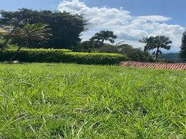  Land for sale in Pereira, Risaralda, Pereira