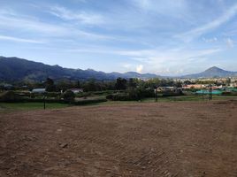  Grundstück zu verkaufen in Abejorral, Antioquia, Abejorral