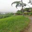  Grundstück zu verkaufen in Pereira, Risaralda, Pereira, Risaralda