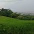  Grundstück zu verkaufen in Pereira, Risaralda, Pereira, Risaralda