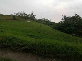  Grundstück zu verkaufen in Pereira, Risaralda, Pereira, Risaralda