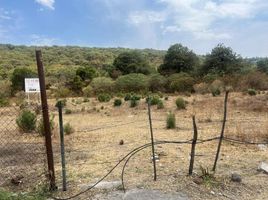  Land for sale in Zapopan, Jalisco, Zapopan, Jalisco