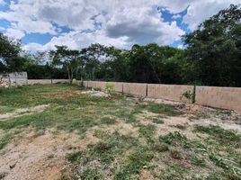  Grundstück zu verkaufen in Conkal, Yucatan, Conkal