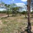  Grundstück zu verkaufen in Conkal, Yucatan, Conkal