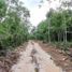  Land for sale in Puerto Morelos, Quintana Roo, Puerto Morelos, Quintana Roo
