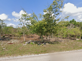  Land for sale in Puerto Morelos, Quintana Roo, Puerto Morelos, Quintana Roo