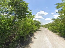  Grundstück zu verkaufen in Progreso, Yucatan, Progreso