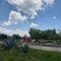  Terreno (Parcela) en venta en Huimilpan, Querétaro, Huimilpan