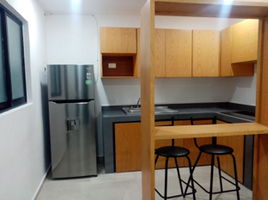1 Bedroom Apartment for rent in Carmen, Campeche, Carmen, Campeche
