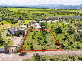  Terrain for sale in Allende, Guanajuato, Allende