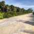  Terrain for sale in Othon P Blanco, Quintana Roo, Othon P Blanco