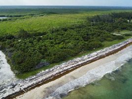  Grundstück zu verkaufen in Othon P Blanco, Quintana Roo, Othon P Blanco