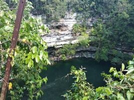  Land for sale in Tinum, Yucatan, Tinum