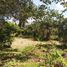  Land for sale in Tinum, Yucatan, Tinum